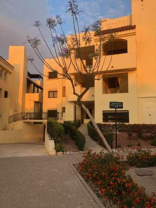 Casa Palmera San Javier Extérieur photo